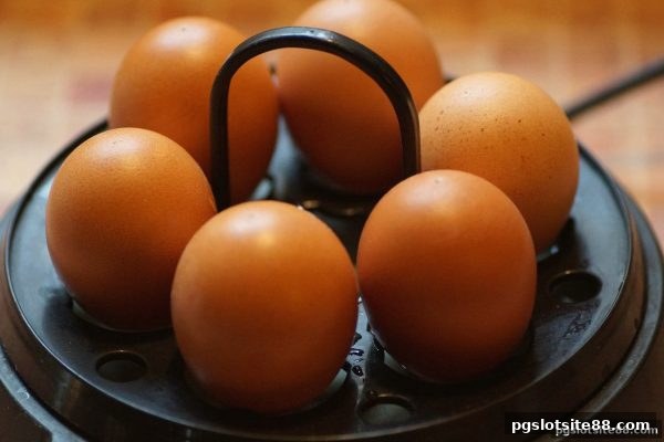 新手必看！pg电子平台捕鱼炮台实战入门指南
